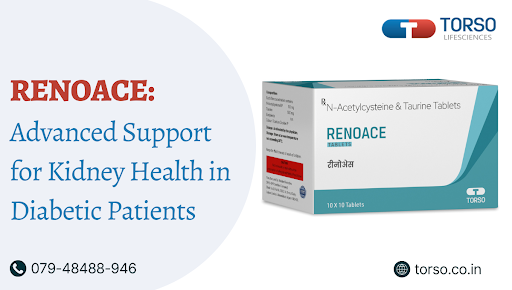 Renoace: Advanced Support for Kidney Health in Diabetic Patients
