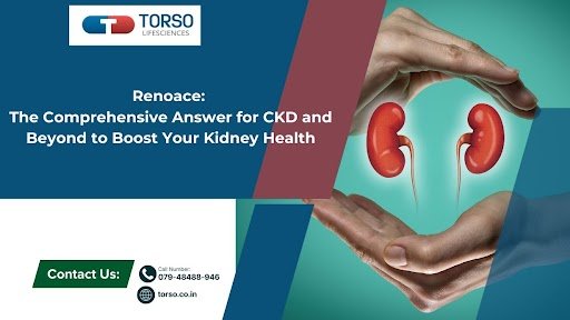 renoace-the-comprehensive-answer-for-ckd-and-beyond-to-boost-your-kidney-health